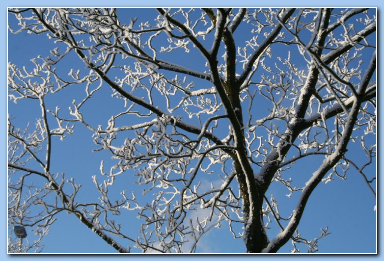 Arnhem Snow 170